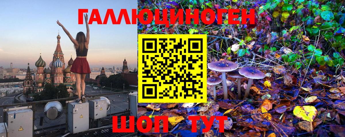 Галлюциногенные грибы Cubensis Бугуруслан