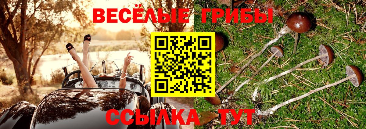 Галлюциногенные грибы ЛСД  Псилоцибиновые грибы Psilocybe  Бугуруслан  Вход с VPN 